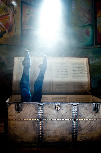 delirio-producciones-teatro-circo